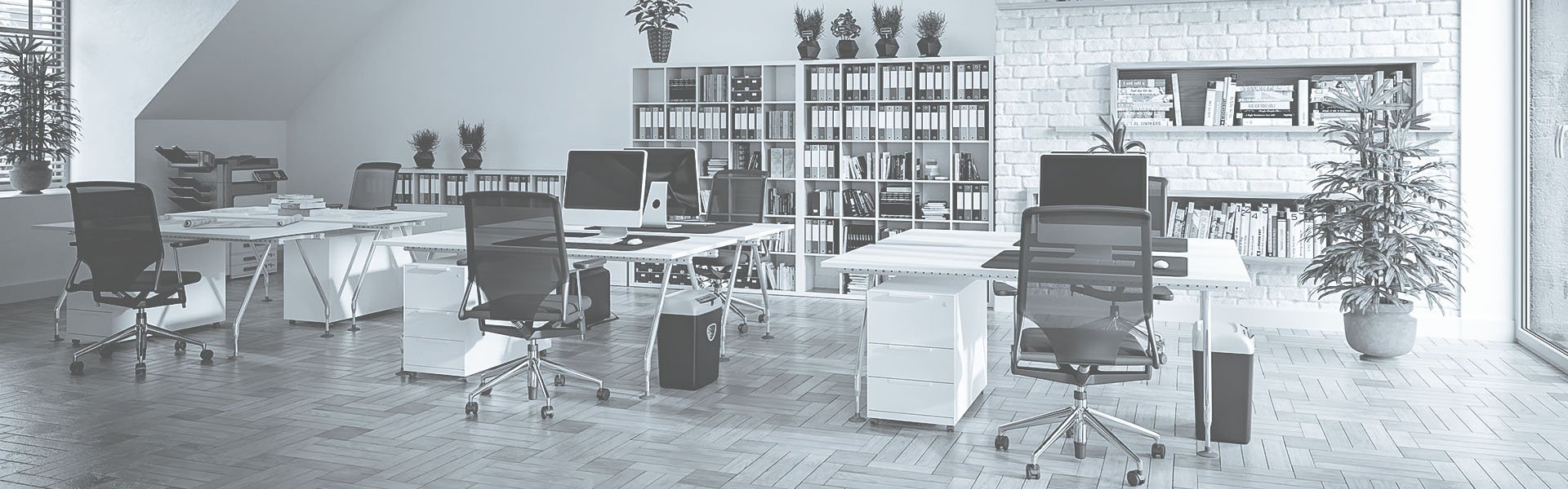 Studieadvies background